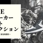 【徹底比較】ナイキ（NIKE）スニーカー大人気おすすめモデル５選！【定番～歴史的傑作モデルまで】
